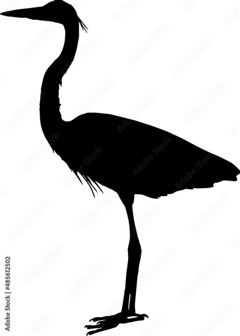 Great Blue Heron Silhouettes Great Blue Heron Svg Eps Png Stock Vector Adobe Stock