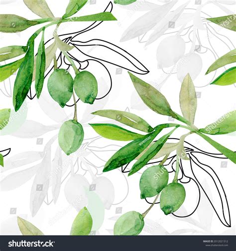 Watercolor Olive Tree Branchimage On White Stock Illustration ...