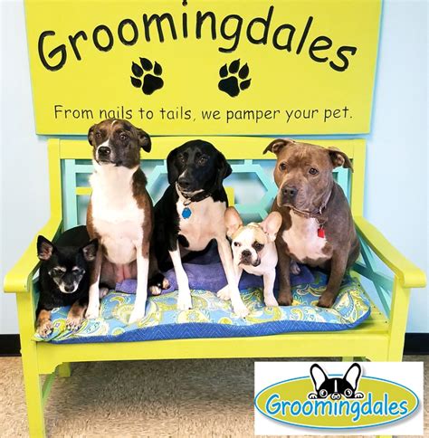 Groomingdales Home