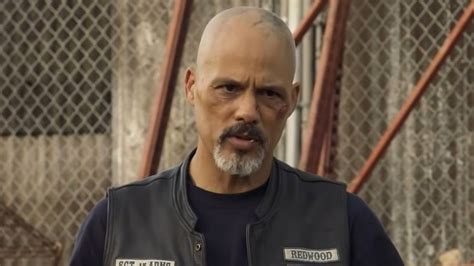 Is David Labrava Married A Deep Dive Into His Life And Relationships