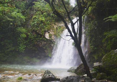 Cuetzalan Wasserfälle und Grotten Tour GetYourGuide