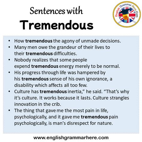 Sentences with Tremendous, Tremendous in a Sentence in English ...