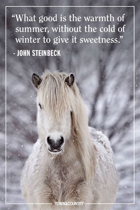 35 Best Winter Quotes Cute Sayings About Snow And The Winter Season