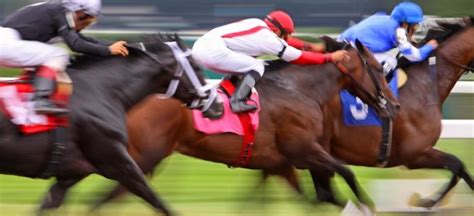Horseracing At Meadowlands Racetrack