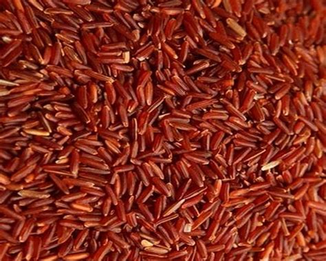 Organic Red Rice Loose At Rs 46kg In Tiruppur Id 2853391120673