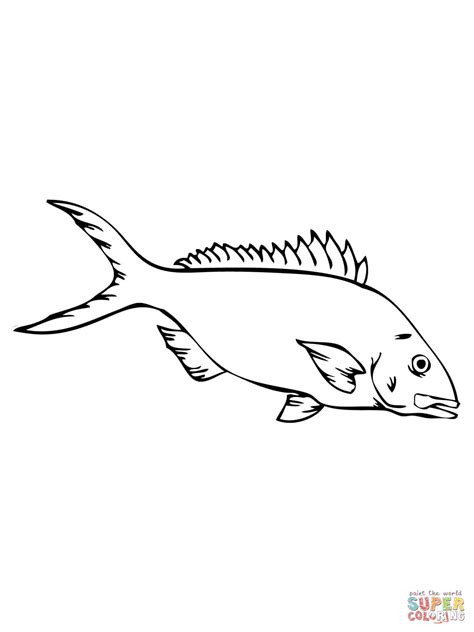 Yellowtail Snapper Coloring Page Free Printable Coloring Pages