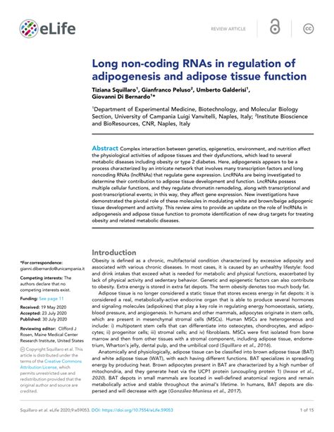 Pdf Long Non Coding Rnas In Regulation Of Adipogenesis And Adipose