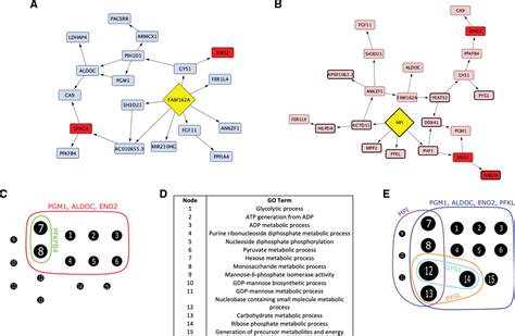 Network Preservation Analysis Reveals Dysregulated Metabolic Pathways