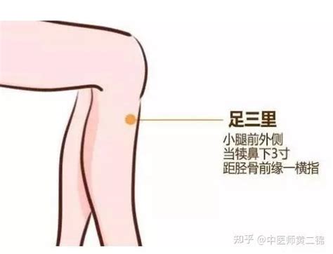 可以自我按摩止胃痛的6个穴位 知乎