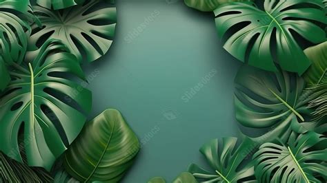 Tropical Leaves In Paper Cut Style Frame A D Render With Palm And