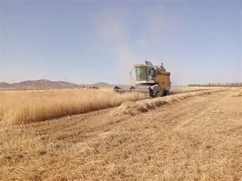 Agriculture Saharienne L Objectif Est De Mettre En Valeur Un Million