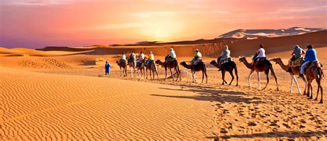 All About the Arabian Desert: Geography, Climate & More - MyBayut