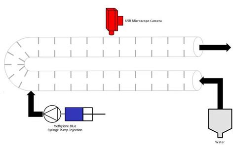 Experimental Setup For Pulse Tracer Experiments In The Oscillatory Download Scientific Diagram