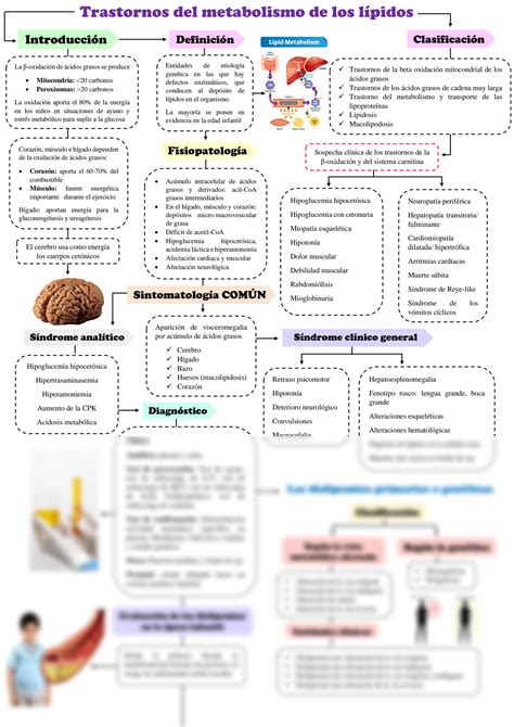 SOLUTION Trastornos Del Metabolismo De Los L Pidos Studypool