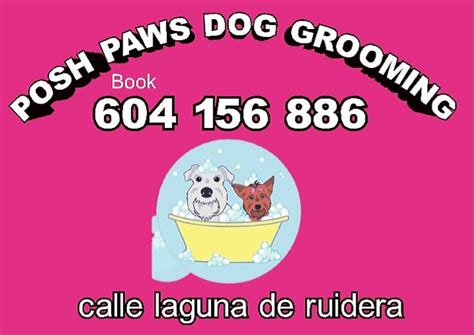 Home Posh Paws Dog Grooming