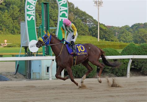 【佐賀・雷山賞】1月13日 8r ブレイブアモーレ主役譲らず｜競馬ニュース｜競馬top｜西スポレースサイト