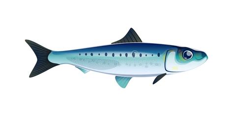 Cartoon Sardine Fish Isolated Cute Character Stock Illustration