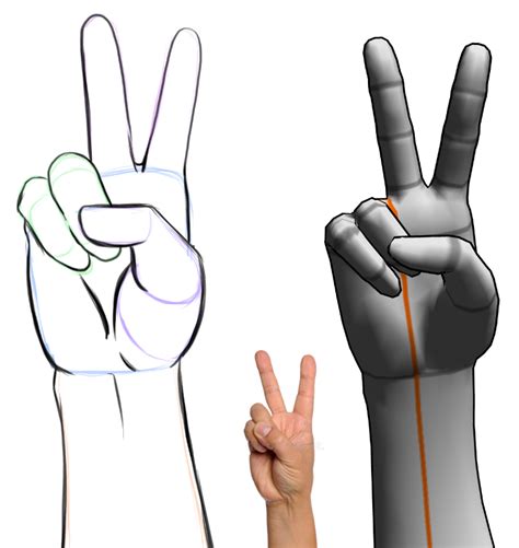 Peace Sign Hand Drawing Reference