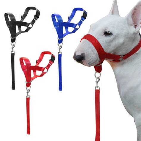 Nylon Dogs Head Collar Dog Training Halter Blue Red Black Colors M L XL XXL Sizes-in Muzzles ...