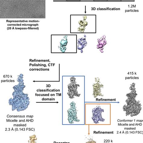 An Overview Of The Cryo Em Data Processing Pipeline For The