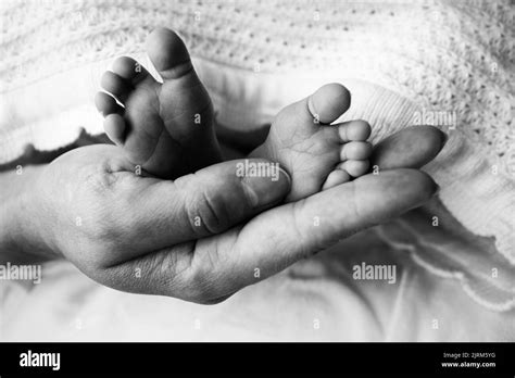 Parents Palms Father And Mother Hold The Legs Of A Newborn Baby Stock