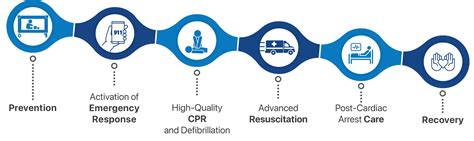 What is the Pediatric Chain of Survival? - Basic Life Support CPR Classes Certification Santa ...