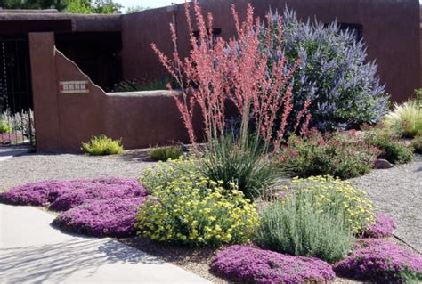 Beautiful Drought Tolerant Landscaping Ideas — Randolph Indoor And Outdoor Design