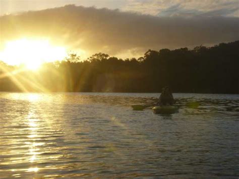 Brunswick Heads Brunswick River Sunrise Nature Kayak Tour GetYourGuide