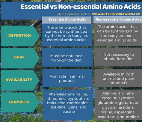 Difference Between Essential And Non Essential Amino Acids Compare The Difference Between