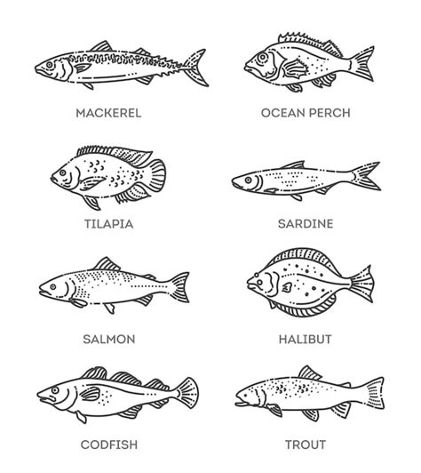 Satz Von Vektor Umriss Fisch Icons Vektor Sammlung Premium Vektor