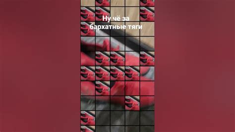 Красные бархатные тяги - YouTube