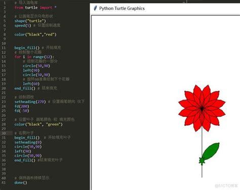 Python画圆弧组成的花瓣代码如何用python画花瓣python画花瓣代码 Csdn博客