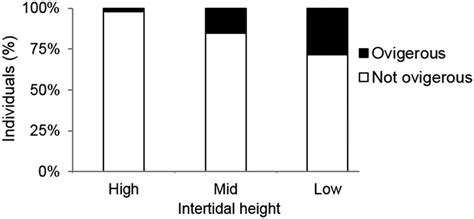 Intertidal Distribution Of Ovigerous And Non Ovigerous Mature Female