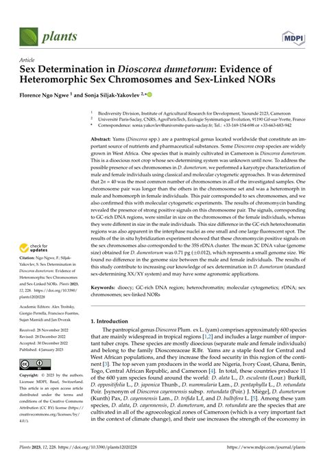 Pdf Sex Determination In Dioscorea Dumetorum Evidence Of