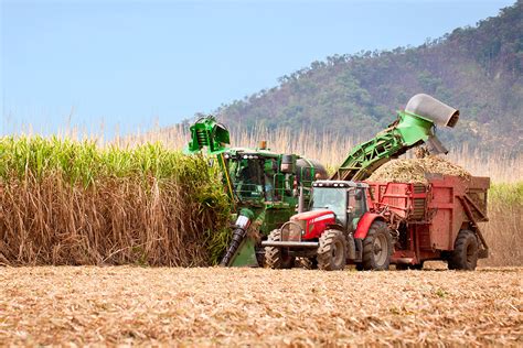 Expanding Brazilian Sugarcane Could Dent Global Co Emissions