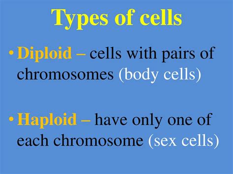 Cell Division Ppt Download