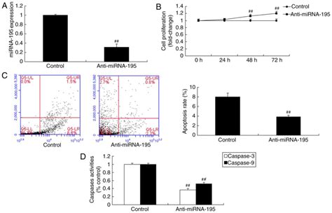 Mirna Suppresses Cell Proliferation Of Ovarian Cancer Cell By