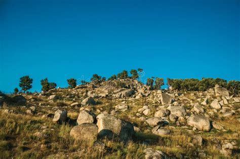 Paisagem Montanhosa Coberta Por Rochas E Por Rvores No Por Do Sol