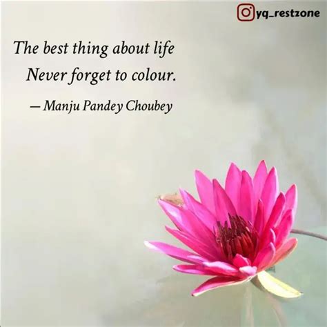 Never Forget To Colour Quotes Writings By Manju Choubey YourQuote