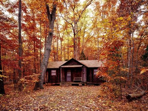 Top 10 Cabins Accommodations In Bunya Mountains QLD