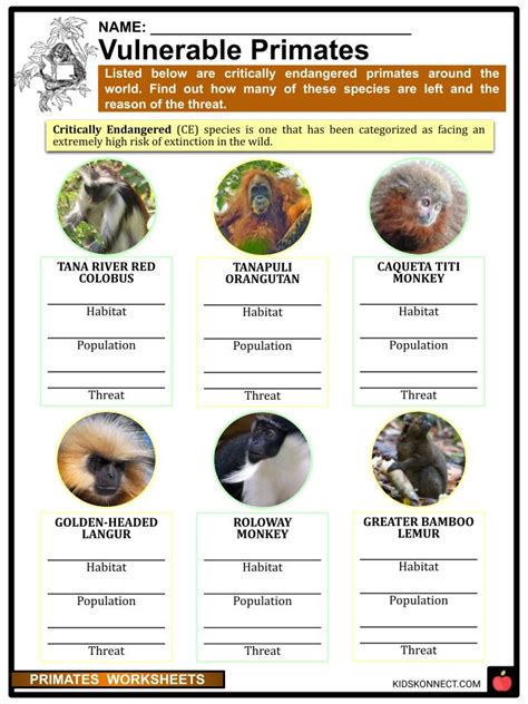 Primates Worksheets & Facts | Evolution, Life-cycle, Classifications