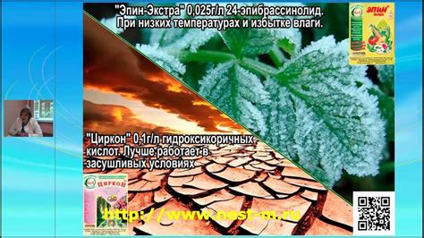 Препараты на природной основе для защиты Вашего сада. - YouTube