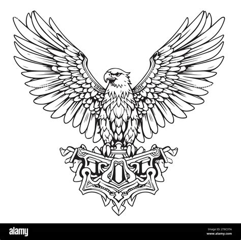 Heraldic Eagle With Spread Wings Royal Symbol Hand Drawn Sketch In