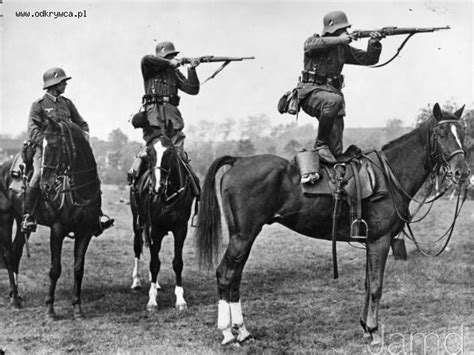 War Horse By Todd Bennett On World War 2 World War World War One