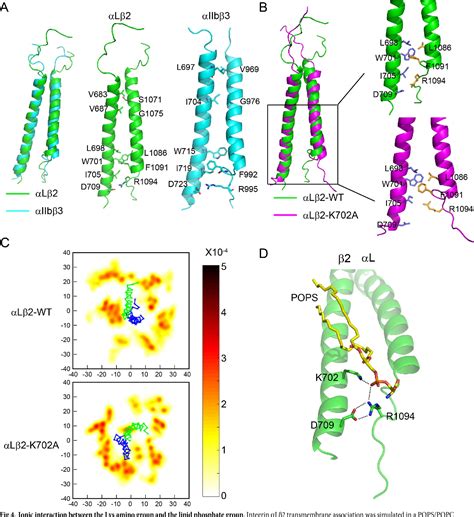 Figure 4 From Intramembrane Ionic Proteinlipid Interaction Regulates