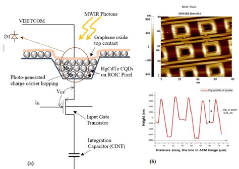 A Equivalent Circuit Schematic Of A Single Pixel Of Mwir Fpa B Afm