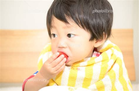 苺を食べる子供 写真素材 5050450 フォトライブラリー Photolibrary