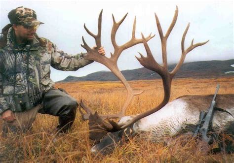 Alaska Caribou Hunting