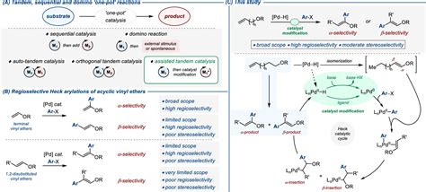 Assisted Tandem Pd Catalysis Enables Regiodivergent Heck Arylation Of