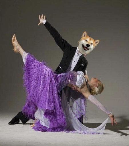 The Dip Is Just Part Of The Doge Dance Rdogecoin